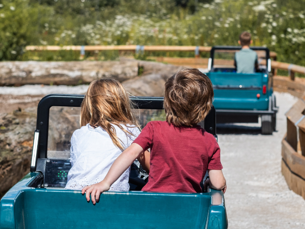 Young visitors take the wheel on Chester Zoo's Off Road Adventure track